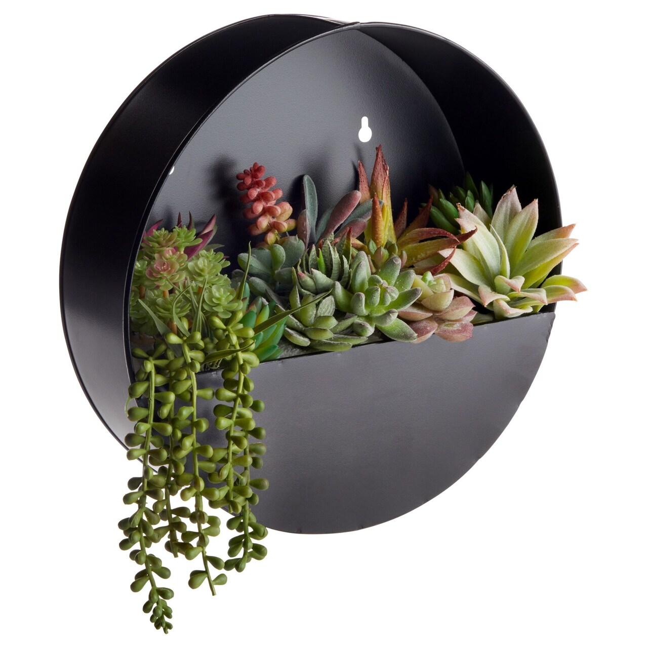 Round Metal Wall Planter for Outdoor Plants, Rustic-Style Black Painted Finish (12x3.6 in)